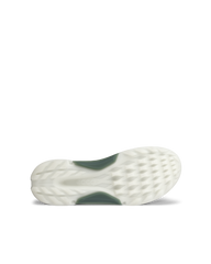 Giày ECCO M Golf Biom H4
